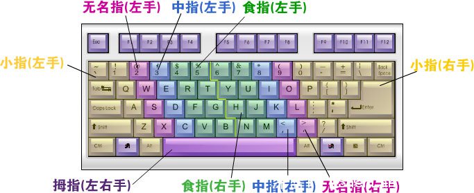 打字指法【打字教程系列3】